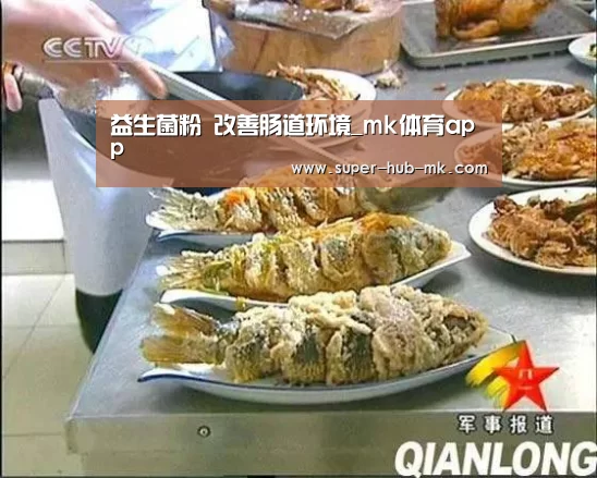 益生菌粉 改善肠道环境_mk体育app