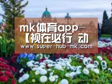 mk体育在线
