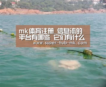 mk体育注册_信息流的平台有哪些 它们有什么差别(图3) mk体育app