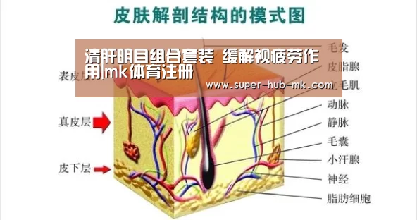 清肝明目组合套装 缓解视疲劳作用|mk体育注册