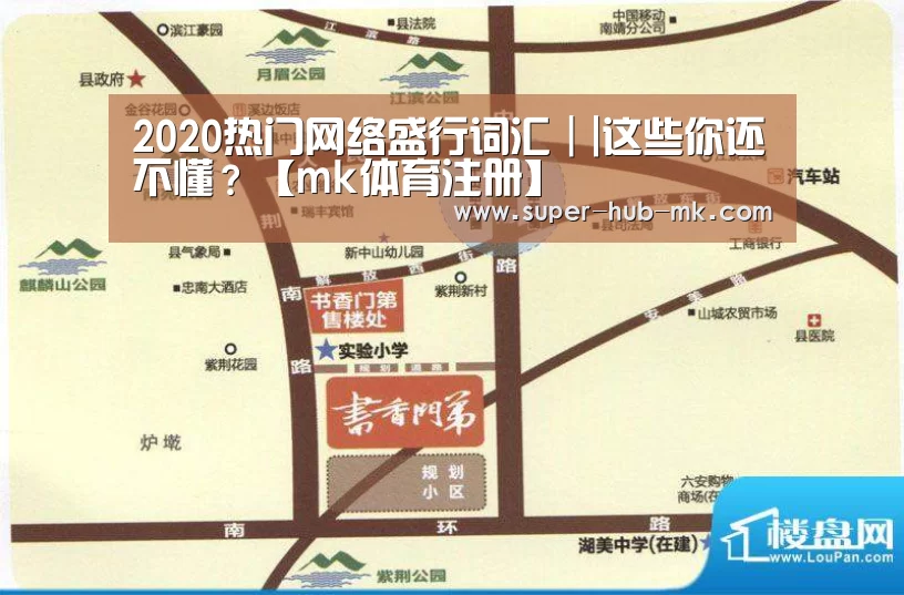 2020热门网络盛行词汇｜|这些你还不懂？【mk体育注册】