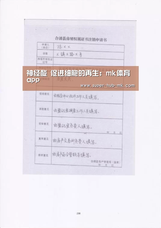 mk体育app