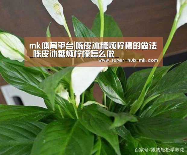 mk体育平台|陈皮冰糖炖柠檬的做法_陈皮冰糖炖柠檬怎么做_(图2) mk体育app